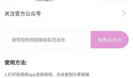 互联网短视频如何赚钱的,揭秘互联网短视频赚钱之道